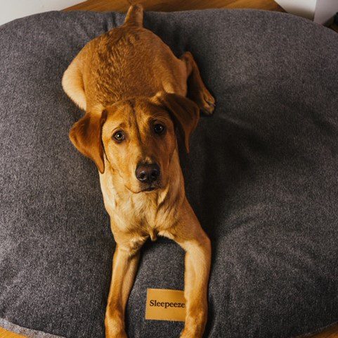 Pillow Bed Cover - Image 4