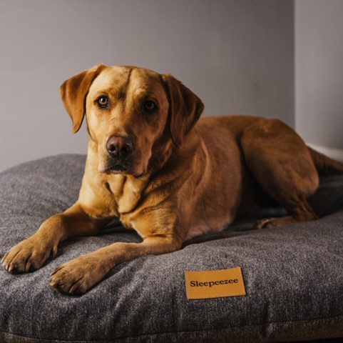 Pillow Bed Cover - Image 3